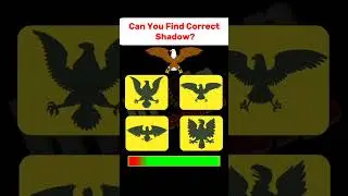 Can You Find Correct Shadow 🤔 Hard challenge 99.9% Fail #ytshorts #challenge
