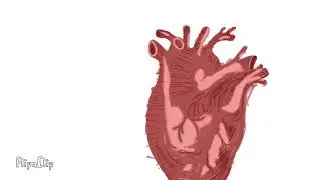 Heart beating animation 