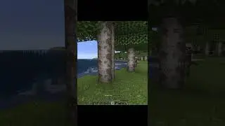 How I Think I Play Minecraft VS How I Actually Play