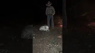Reques&oacute;n
