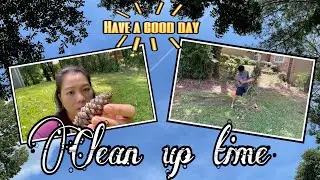 Cleaning the yard after the thunderstorm + tips before picking the pinecones #kulitzzzchannel