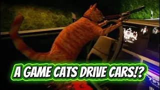 A Game where CATS Drive Cars and DOGS Steer Boats!!!
