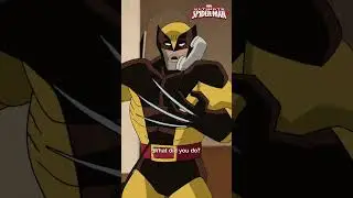 Spider-Man is Wolverine ⁉️🔄😲