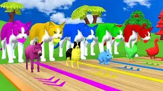 3d Cartoon Cat ESCAPE ROOM CHALLENGE Gorilla, hippo, Cow, Goat, Chicken, Dog T- Rex all Fun