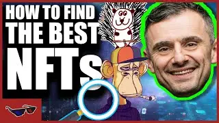 How to Discover the NEXT NFT Blue Chip (Top 3 Alpha NFT Secrets)