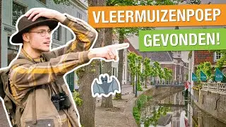 WOW! IK ONTDEK DE NATUUR IN DE STAD + VLEERMUIZENPOEP GEVONDEN! 🦇 | Woudwachter Robin #3