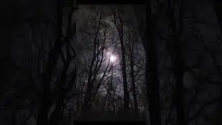 Закрийте небо (Нова Хвала і Поклоніння)