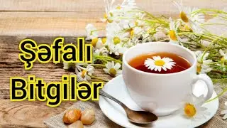 💜Nə iş edə bildim, nə yemək bişirə bildim, nə çəkiliş edə bildim. Həkimə getdik. Kübrə hazırladım