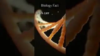 Deoxyribonucleic acid. #fact #science #dna #biology