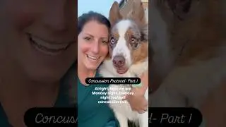 Concussion Protocol: Part I- how they test on the field #concussion #sports #nfl #dog