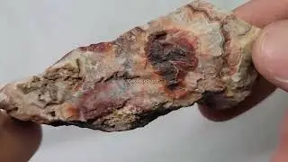 Rosetta Lace Agate #5