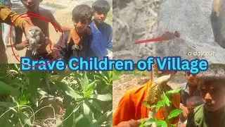 Brave Children Of Village | Pakistan Village Life Vlog