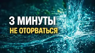Почему на это можно смотреть бесконечно