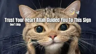 Not By Accident Allah Wanted You To See This Sign🕊️❤️