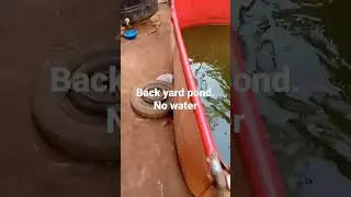 create your own fish pond