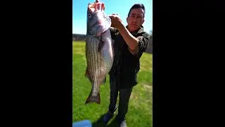 MASSIVE PB Striper!!! How Much Does It Weigh??!