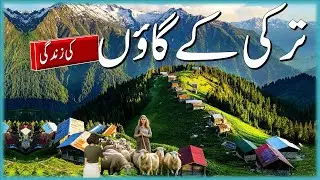 Turkish Village Life In Urdu Hundi|  | ترکی کےگاؤں کی زندگی |Turkey Village Vlog |#infoattravel