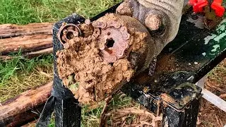 25!! Cut and remove the motor screw with nail stuck in cow hoof