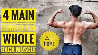 4 best exercise for back muscle |home based workout, no equipment|
