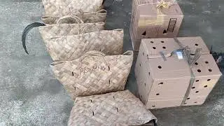Paanu Mag Padala Ng Manok  Sa Airport at Seaport (Manual issuance  of Live Chickens )