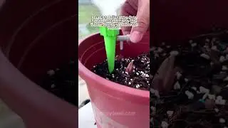 Adjustable Automatic Drip Irrigation System #philippines #trends #garden #plants