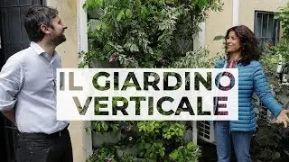 Come realizzare un GIARDINO VERTICALE fai da te 🌱  | GIARDINAGGIO