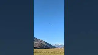 Backfire II loopings #backfire #f5b #hotliner #rc #rcplanes
