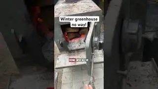 Most people think you can&rsquo;t grow anything in an Ohio winter&hellip; but our greenhouse says otherwise 🌿