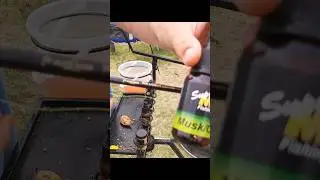 Perfect Bait Presentation for RIVER CARP #shorts #carpfishing #fishing #riverfishing #methodfeeder