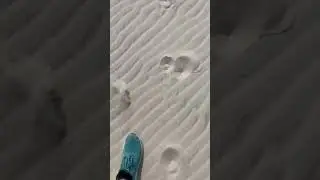 Jeg har fundet spor!