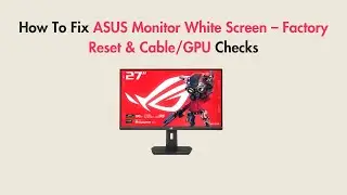 How To Fix ASUS Monitor White Screen &ndash; Factory Reset & Cable/GPU Checks