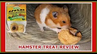 Peter's Whole Apple Small Animal Nature Treats Review #ChewyInfluencer