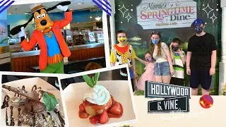 Hollywood and Vine Dining Review at Hollywood Studios - weeefamfun
