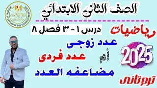 العدد الزوجي والعدد الفردى | رياضيات تانيه ابتدائي 2025 | الترم التاني | درس 1-3 فصل 8 ترم تانى