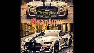 Granium (Prime Mix) official track by Vladimir Torero premium music project 