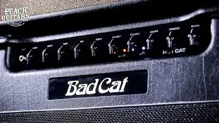 No Talking...Just Tones | Bad Cat 