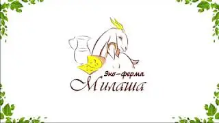 Чук и гек . Козлята фермы Милаша