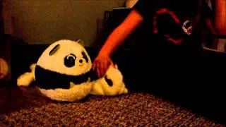 Bandit HRN video