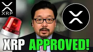 OMG XRP JUST APPROVED!! (HUGE CONFIRMATION) 🚨