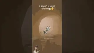 Lil sperm looking for an egg 🥚!🤣🤣🤣🤣🤣🤣😆😆🍳#shortsvideo #shorts