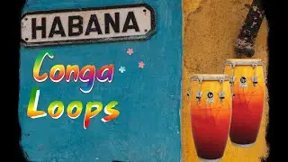 75 BPM CONGA LOOPS