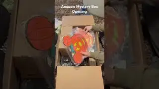 Amazon Mystery Box Opening! A lot of cool things!