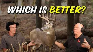 СОСНЫ лучше, чем твердые породы дерева, и стоят они больших денег?