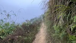 POV: The mysterious trail in the mist the locals go to their fields every morning