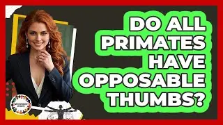 Do All Primates Have Opposable Thumbs?