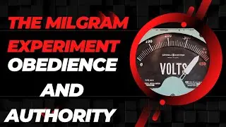 The Milgram Experiment&ndash;Obedience and Authority | Milgram Obedience Study Summary | Salty Ginger Talk