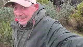 Nos encontramos los restos de un jabalí 🐗