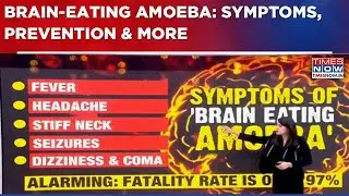 Kerala: Fresh Case Of Brain-Eating Amoeba; 67 Infected, 18 Deaths In 2025 | All You Need To Know