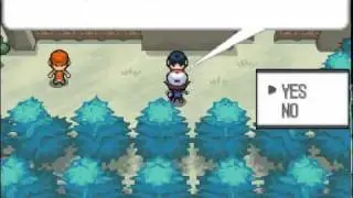 Pok&eacute;mon Black - Striaton City & Dream Yard