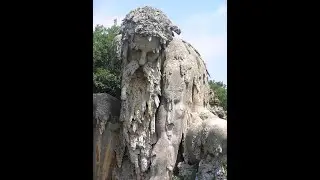 Bodies Turned to Stone by the Ancients